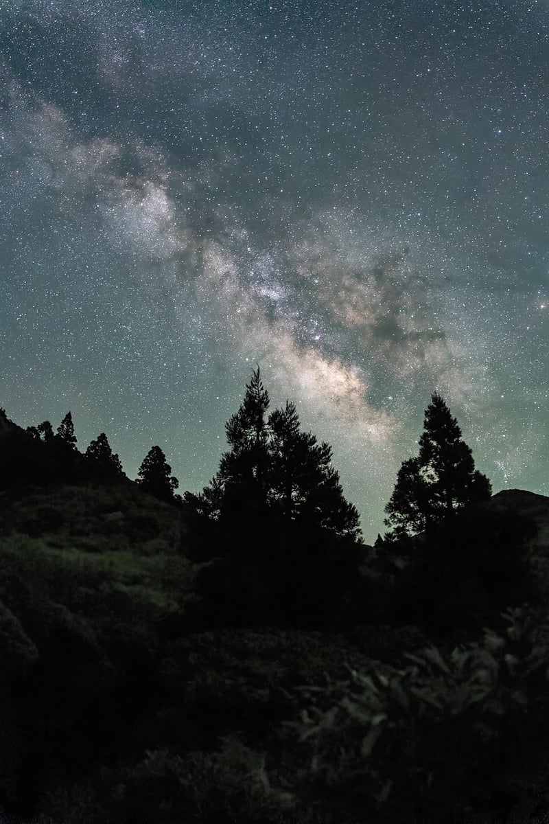 Relaxing under the stars