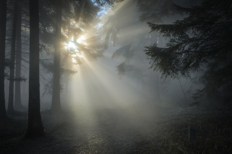 Tai Chi in nature